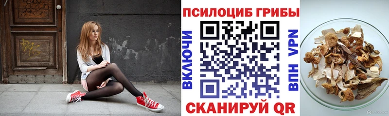 гидра вход цены Кашира Псилоцибиновые грибы мицелий